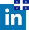 Red-D-Arc Quebec LinkedIn Icon